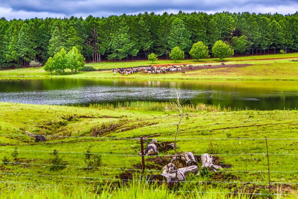 أندربرغ Umzimkulu River Lodge المظهر الخارجي الصورة