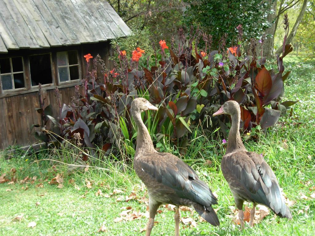 أندربرغ Umzimkulu River Lodge المظهر الخارجي الصورة
