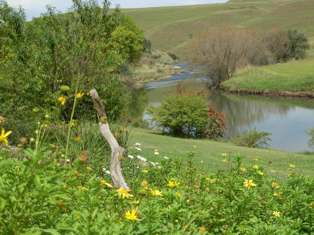أندربرغ Umzimkulu River Lodge المظهر الخارجي الصورة